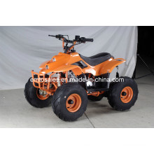 7 Zoll großes Rad 110cc ATV Quads (ET-ATV-010)